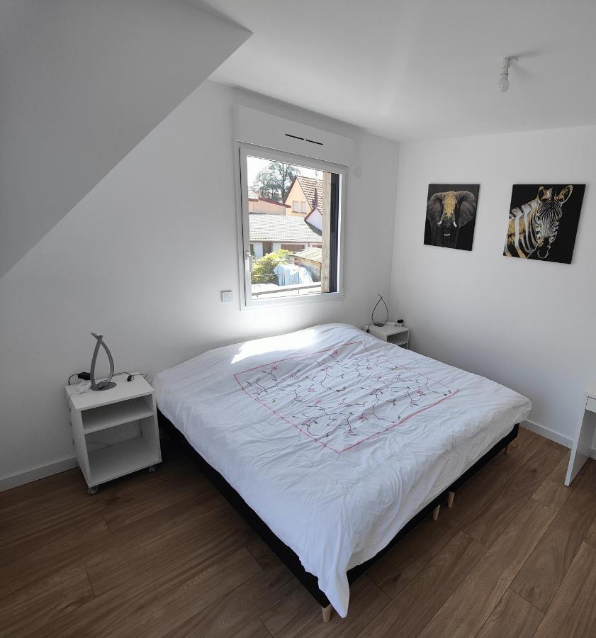 Appartement 48M², Strasbourg Centre A 15 Min En Train Fegersheim Экстерьер фото